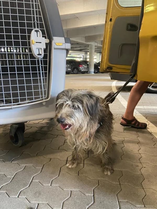 Hiromi (adopted) photo 3