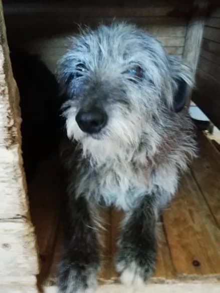 Hiromi (adopted) photo 4