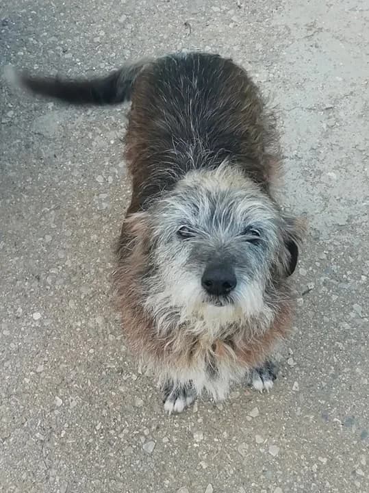 Hiromi (adopted) photo 5