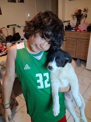 MPLANKA (ΜΠΛΑΝΚΑ), female puppy Mixed Breed for adoption at Dogs Voice, Athens