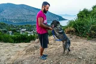 Zina (Ζίνα), Mixed Breed (Dogs Voice)