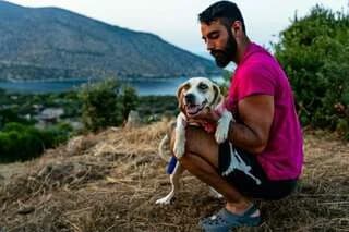 Marily (Μαριλύ), female puppy Mixed Breed for adoption at Dogs Voice, Athens