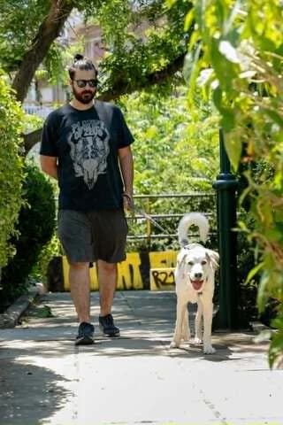 Rice, male puppy Mixed Breed for adoption at Dogs Voice, Athens