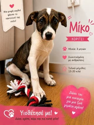 Miko, female puppy Mixed Breed for adoption at Dogs Voice, Athens