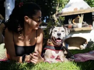 IRA (ΗΡΑ), female 7yo Mixed Breed for adoption at Dogs Voice, Athens