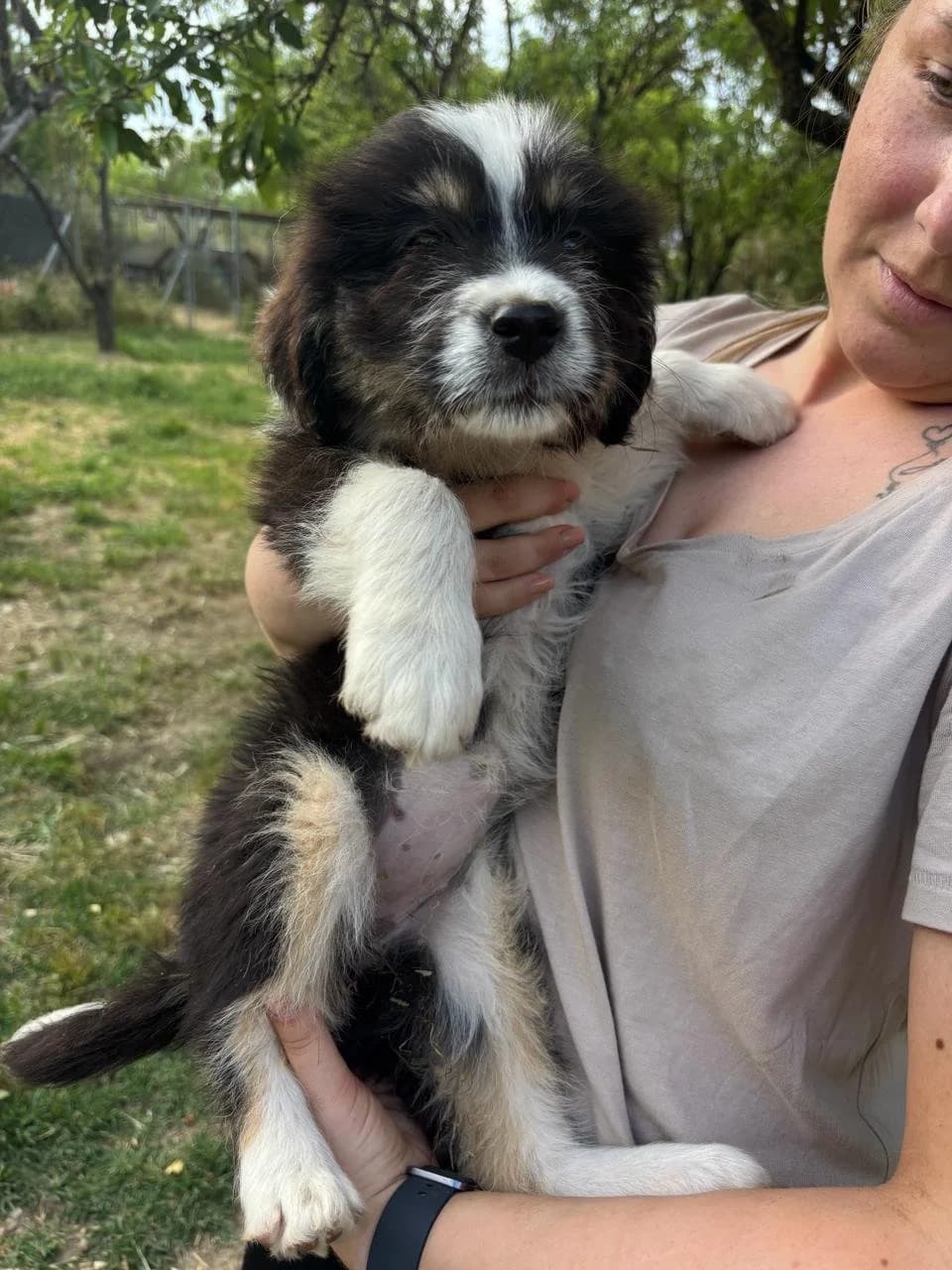Kala, Mixed Breed for adoption at Hopeland Dog Sanctuary