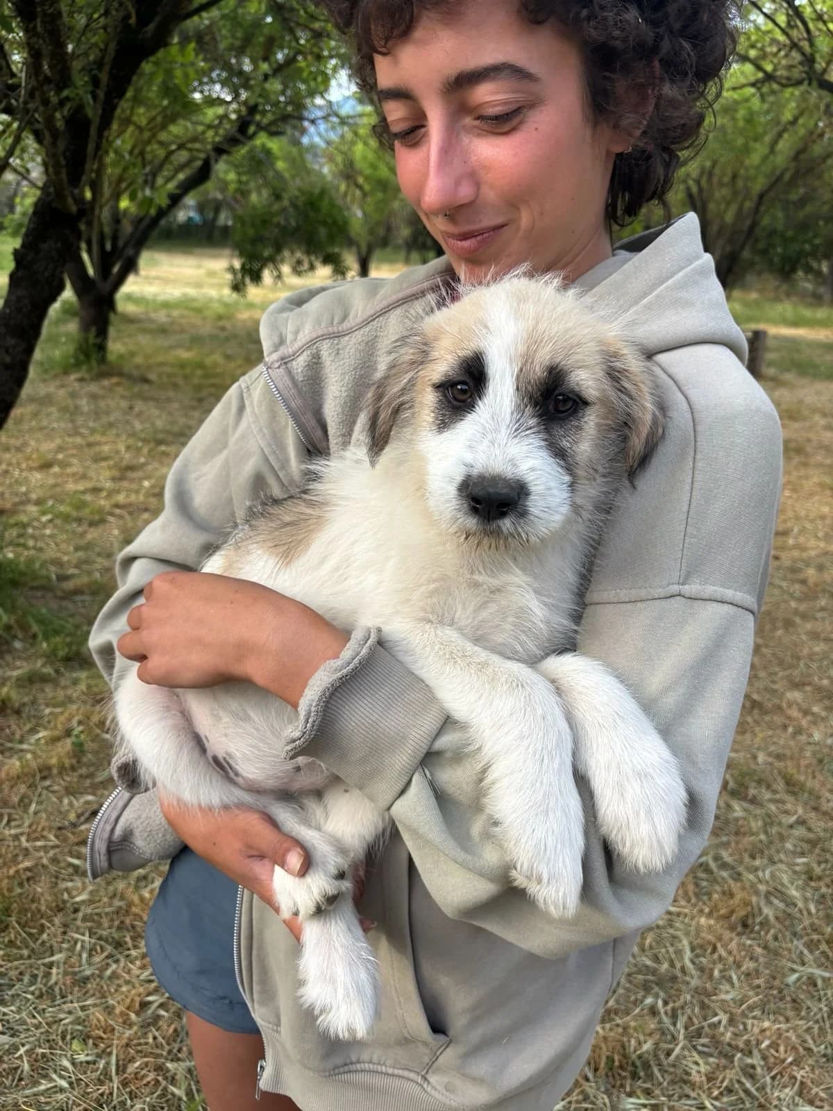 Sila, Mixed Breed for adoption at Hopeland Dog Sanctuary