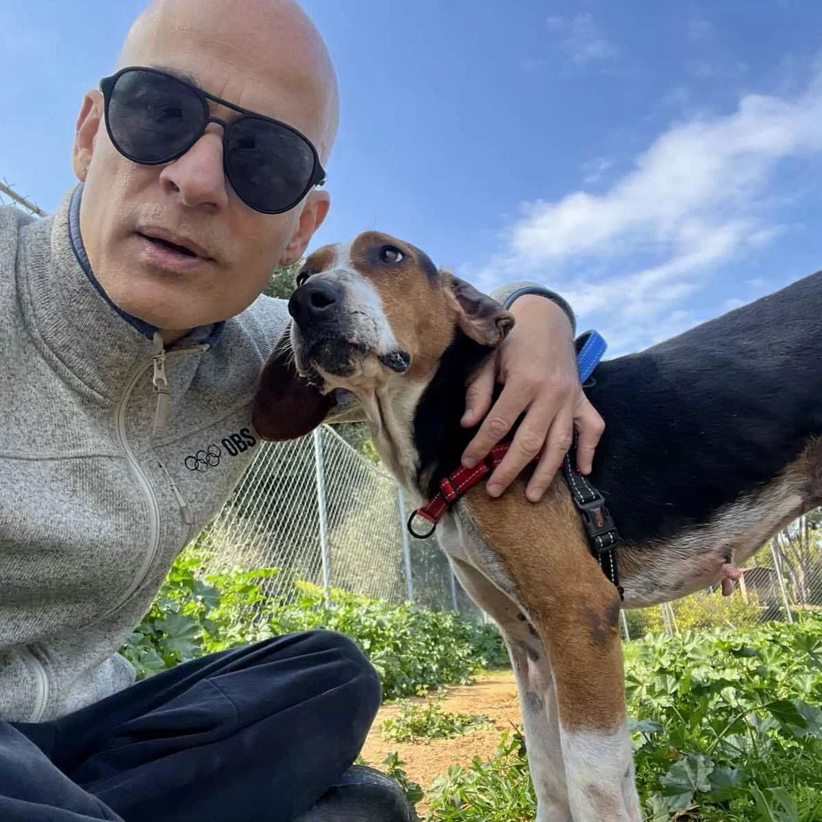 Aristos, male Mixed Breed for adoption at Save a Greek Stray, Metsovo — photo 3 of 13