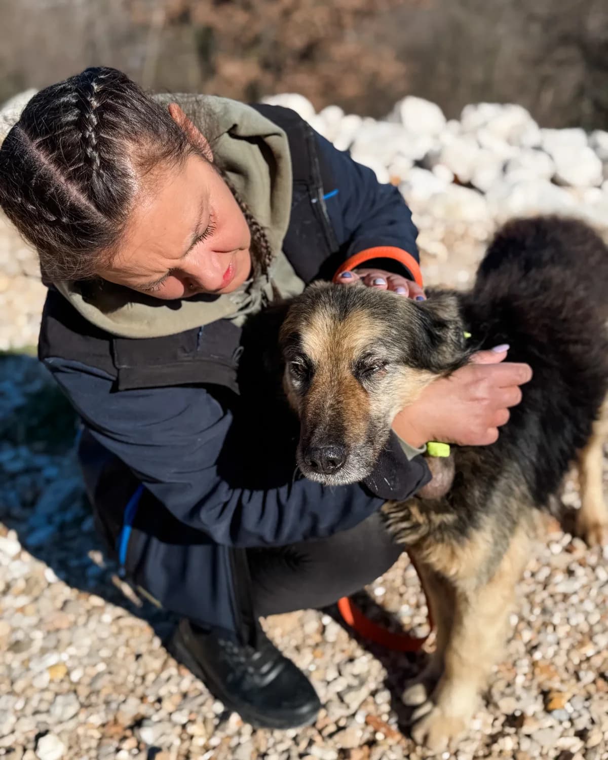 Kikiriki, male Mixed Breed for adoption at Azil Dubrovnik — photo 4 of 4