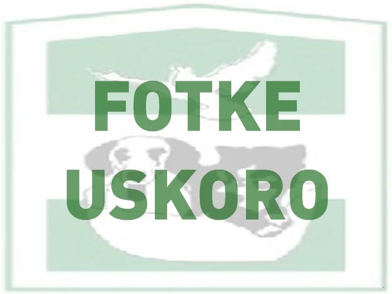 Tamaro,  (Noina Arka)