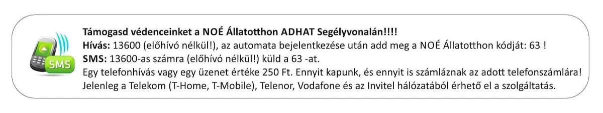 Ladányi Lando photo 2