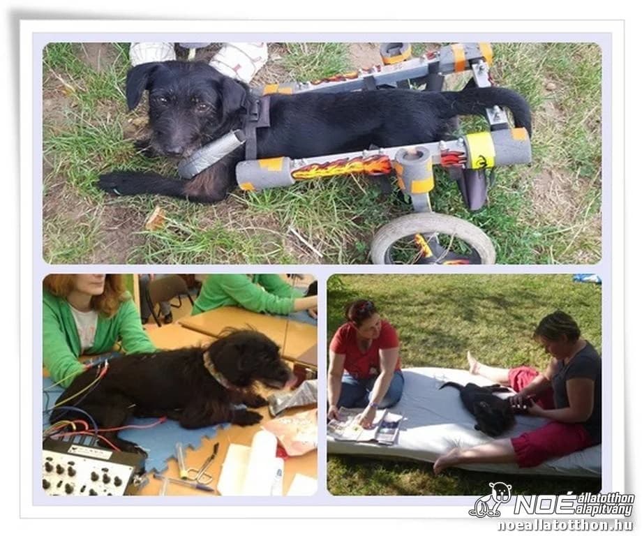 Forte - MINIMENHELY projekt