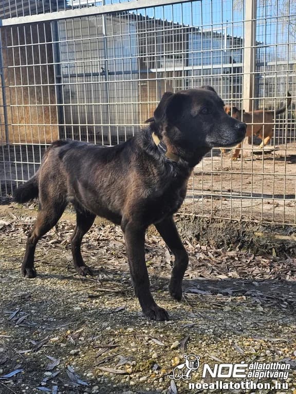 Kál család Killikki photo 2