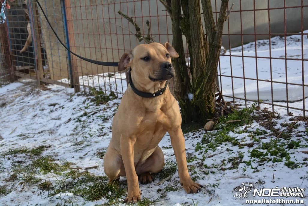 Spice Sporty photo 2