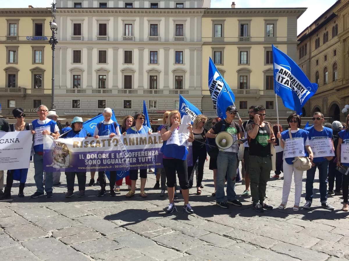 Presidio Nazionale No alle opere di Jan Fabre a Firenze 18 Giugno 2016, male Mixed Breed for adoption at Animalisti Italiani