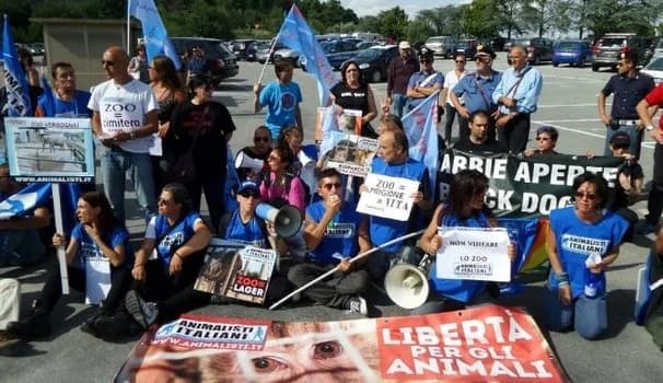 ARCHIVIATA QUERELA CON STORICA SENTENZA:, male Mixed Breed for adoption at Animalisti Italiani