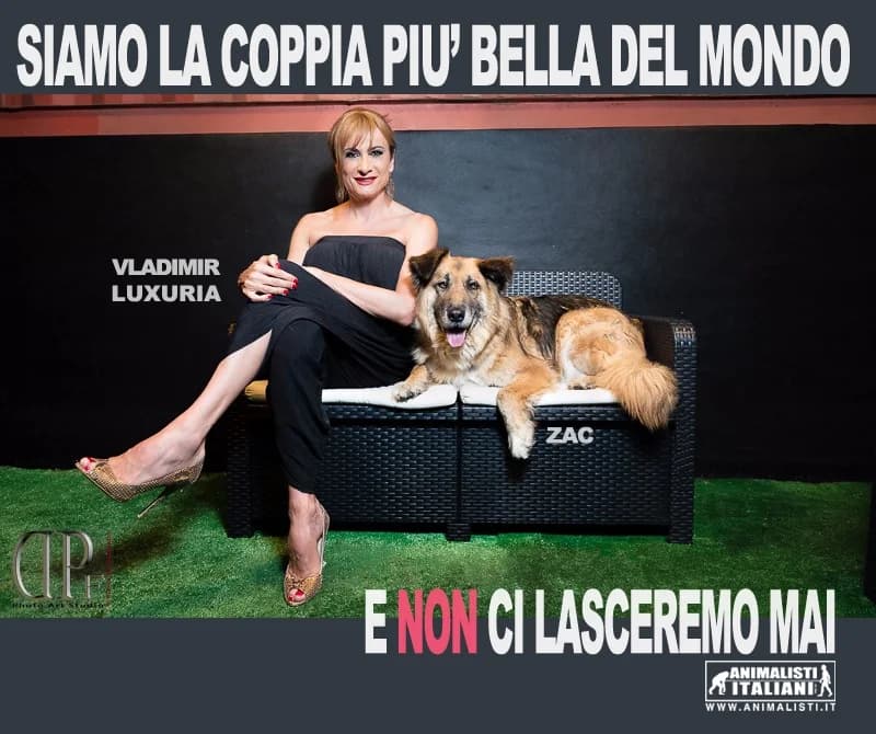 DOG VILLAGE PRIDE, male Mixed Breed for adoption at Animalisti Italiani