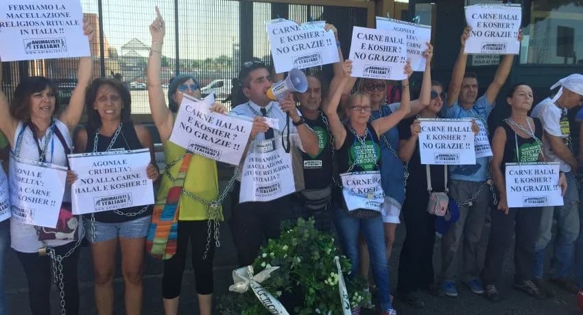 ABOLIAMO LA MACELLAZIONE RITUALE RELIGIOSA IN ITALIA, male Mixed Breed for adoption at Animalisti Italiani