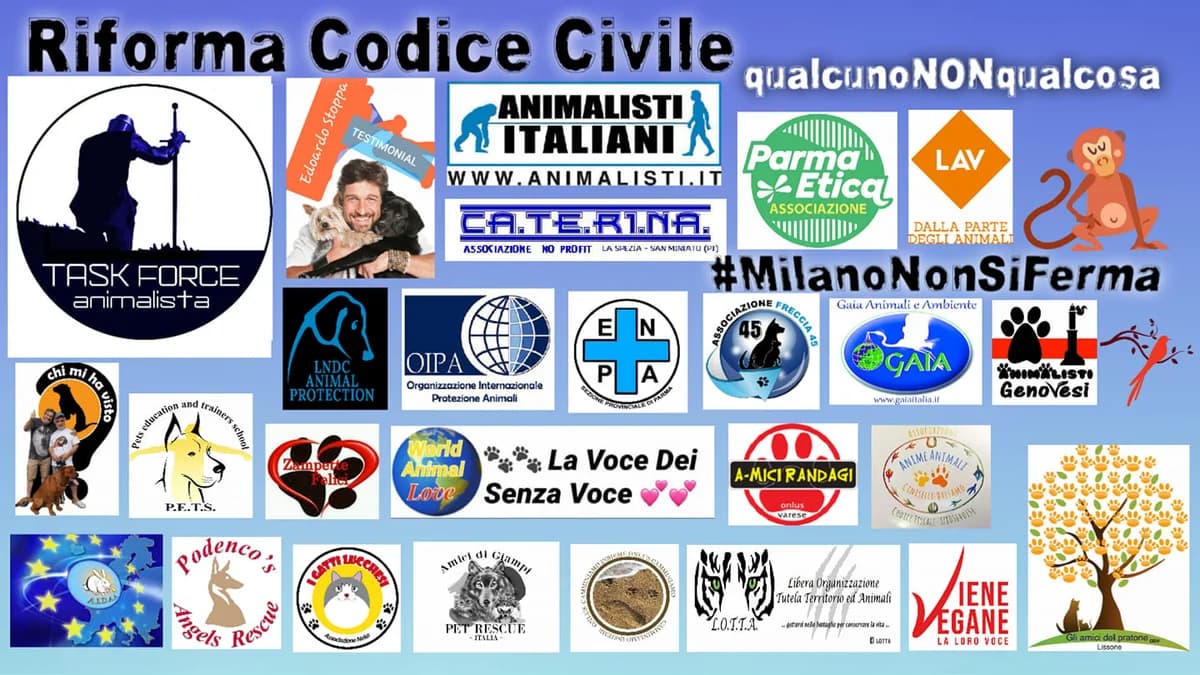 Soggetti non oggetti: a Milano il Corteo Nazionale per i diritti degli animali, male senior Mixed Breed for adoption at Animalisti Italiani