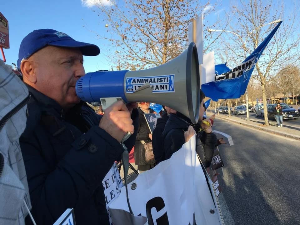 Maltrattamenti animali: denunciate sempre! Noi ci mettiamo la faccia, male Mixed Breed for adoption at Animalisti Italiani