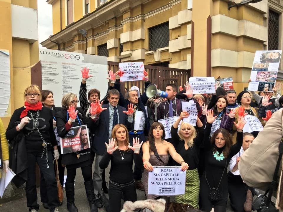 ROMA, SETTIMANA DELLA MODA: CLAMOROSO BLITZ DI ANIMALISTI ITALIANI ONLUS, male Mixed Breed for adoption at Animalisti Italiani