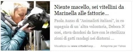 LA SPEZIA – La rettifica della nostra Rappresentante Locale, male Mixed Breed for adoption at Animalisti Italiani