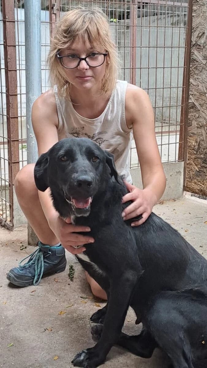 Fatime,  Mixed Breed for adoption at Bogáncs Kutya- és Kisállatotthon Alapítvány