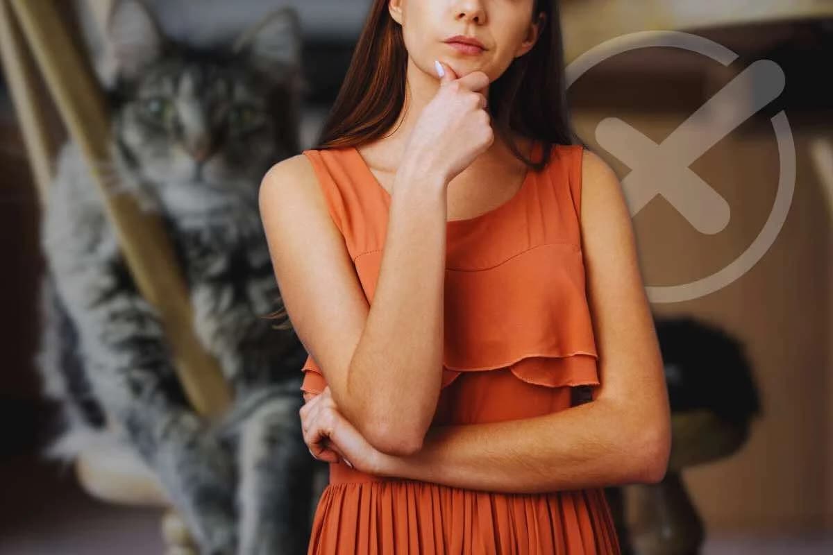 Lo fai ogni giorno col tuo gatto ma è l’errore più grave (e comune) che tu possa fare: smetti subito, male Mixed Breed for adoption at Diamoci La Zampa, SAN DONATO MILANESE