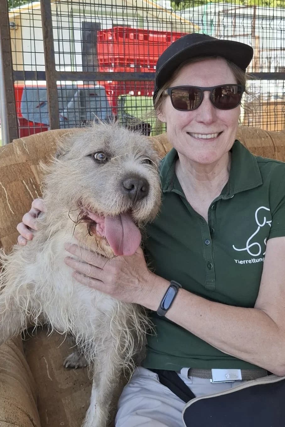 SUBITO,  mixed breed for adoption at Kutyatár Állatmenhely Kaposvár