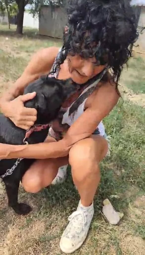 NEGRO/NÉRO,  mixed breed for adoption at Kutyatár Állatmenhely Kaposvár