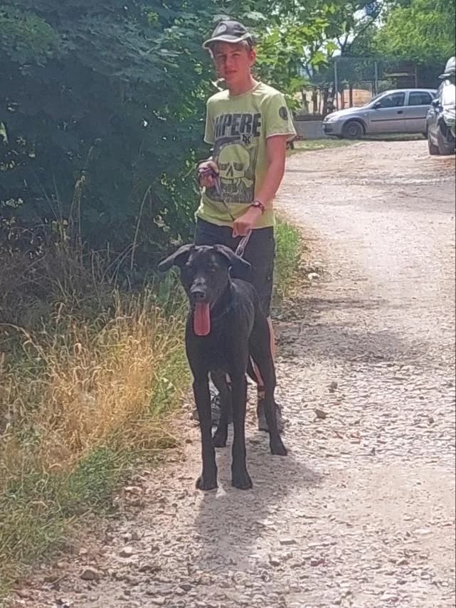 Janó, male Mixed Breed for adoption at Vackoló Állatmenhely Veszprém, Vackolo photo 2