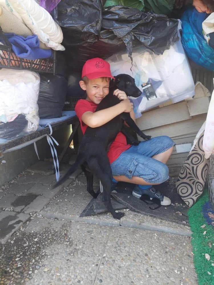 Mókus, female Mixed Breed for adoption at Vackoló Állatmenhely Veszprém, Vackolo photo 8