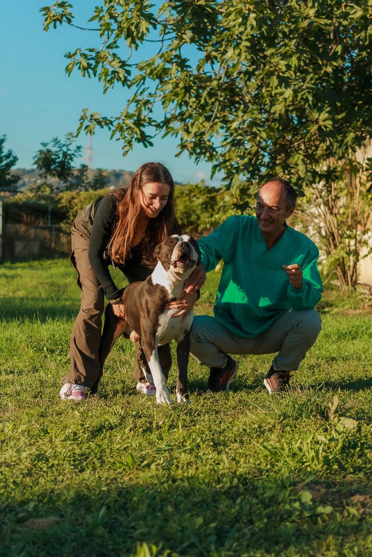 Rocky, 7yo Mixed Breed for adoption at Associazione Cani Liberi - Rifugio Canalba, Alba Adriatica TE