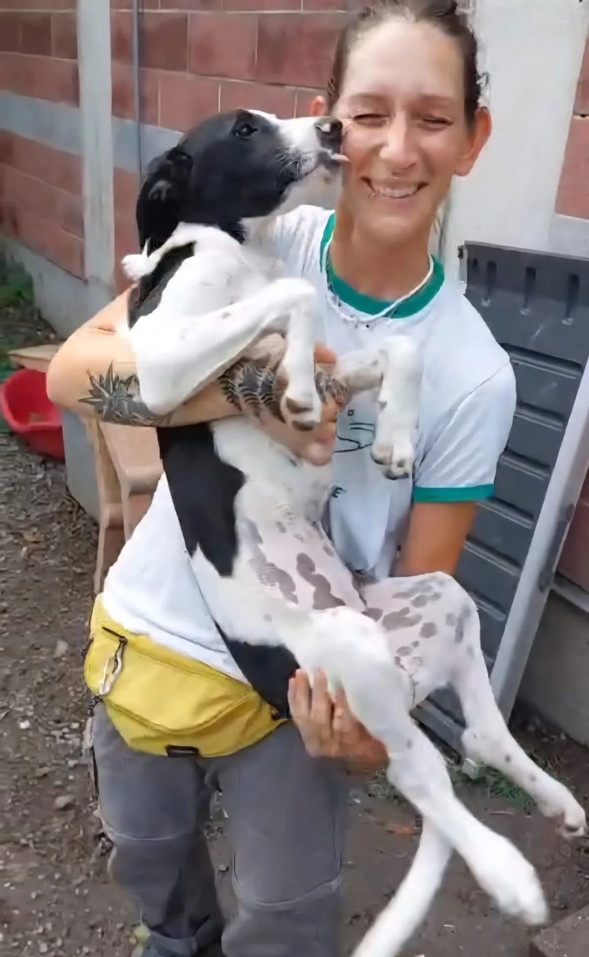 LUISE,  Mixed Breed for adoption at ENPA Sezione Torino, Torino