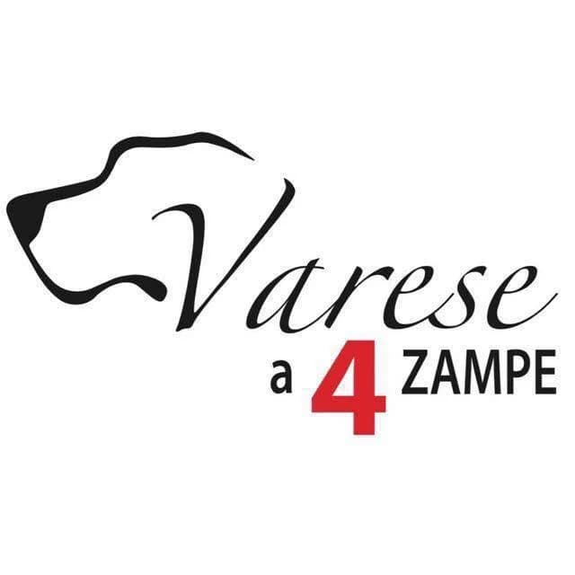 Varese a 4 zampe,  senior Mixed Breed for adoption at Forza RESCUE Dog