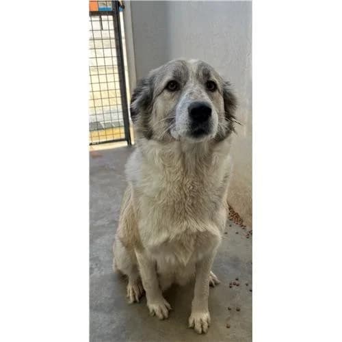 Rita,  (Associazione )