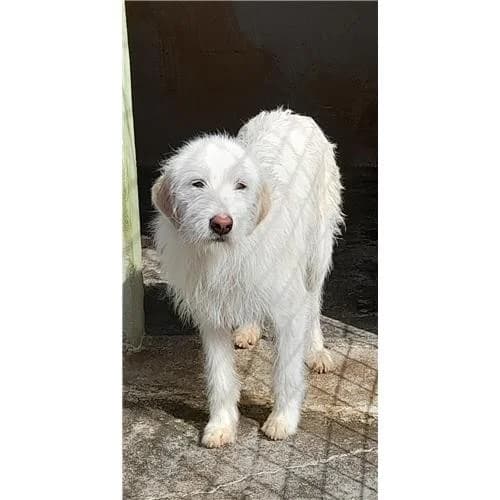 Filippo,  (Associazione )