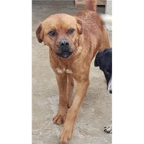 Jack,  (Associazione )