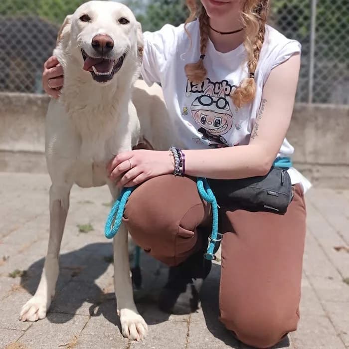 Cane 1879, Bianco female young mixed breed for adoption at Il Rifugio del Cane