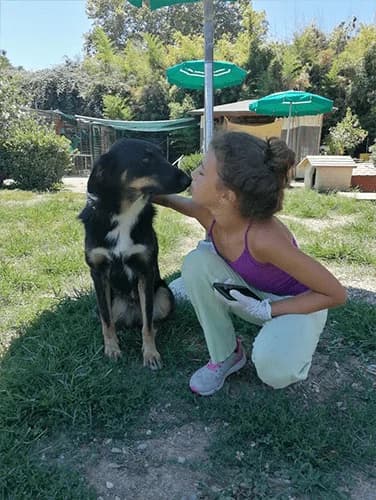 Giusy, female puppy Mixed Breed for adoption at Nati Liberi Versilia, Versilia (Lucca)