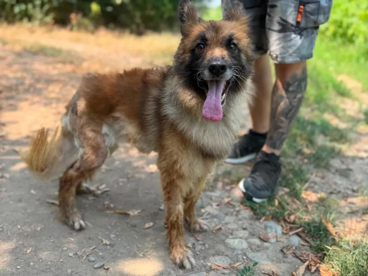 Betty,  (Pet Rescue Italia)