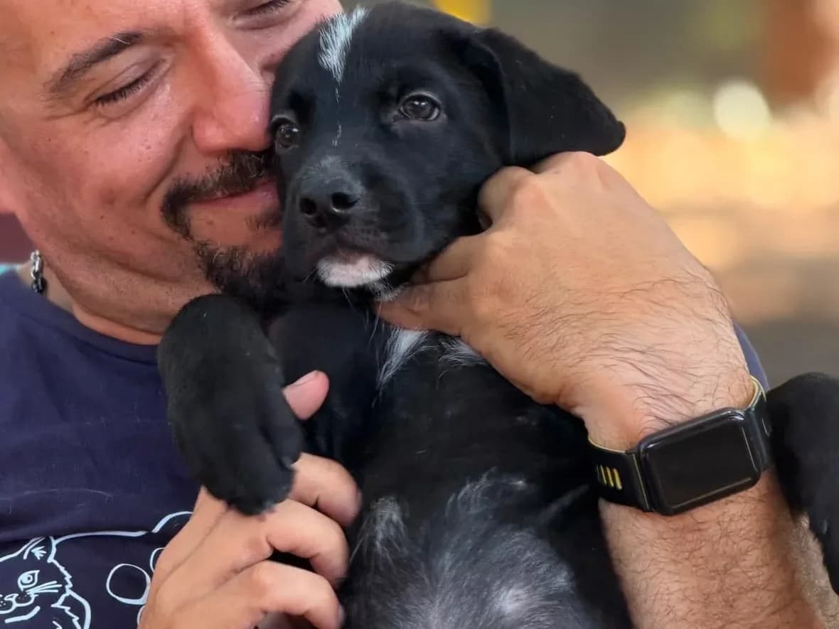 Giacomo,  (Pet Rescue Italia)