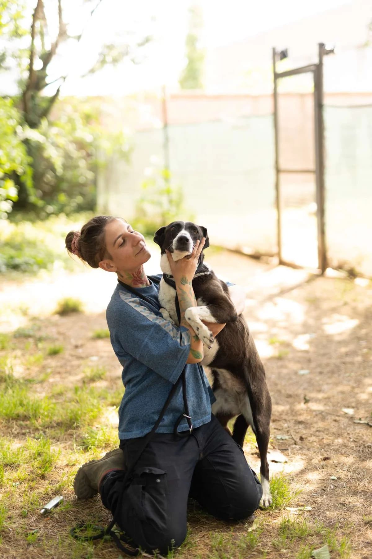 Minnie, mixed breed for adoption at Pet Rescue Italia, Cornaredo