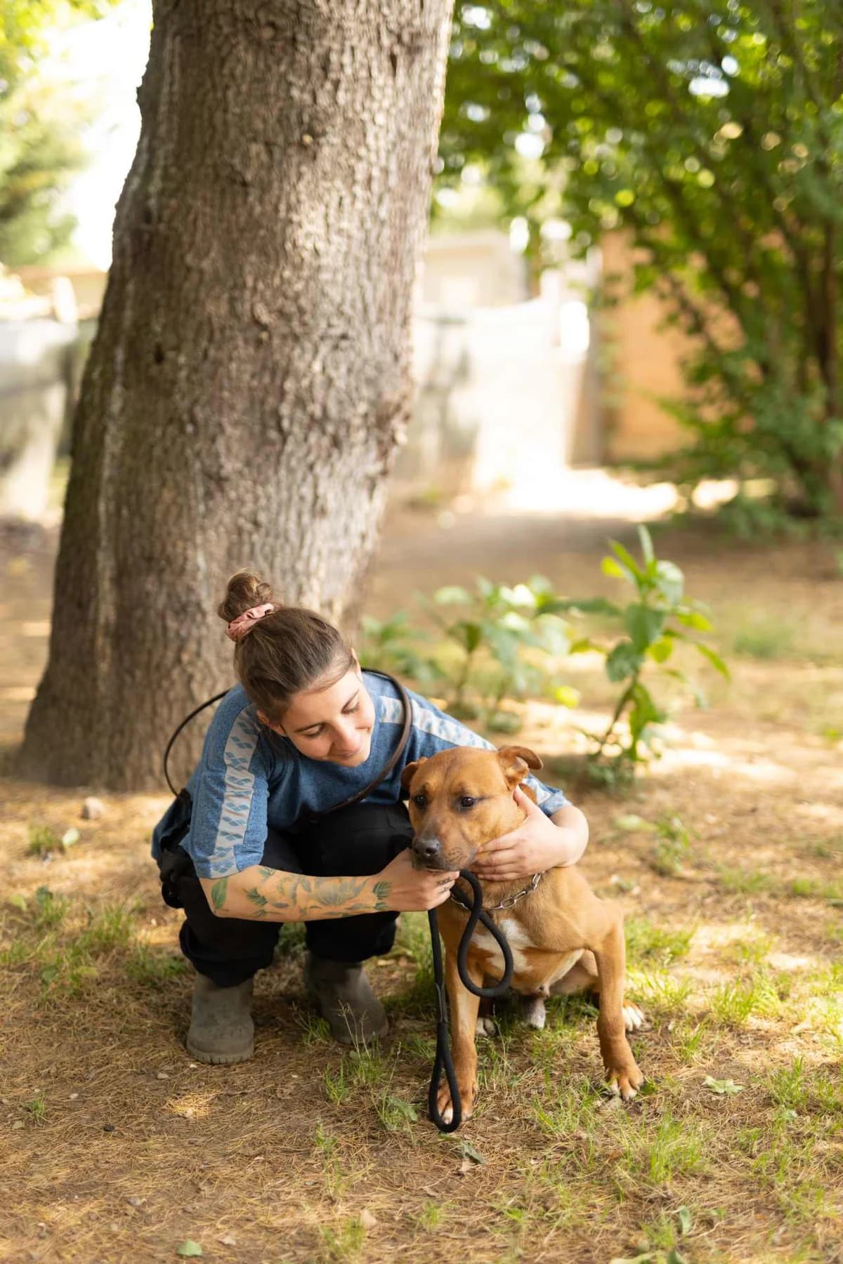 Rocky,  puppy mixed breed for adoption at Pet Rescue Italia, Cornaredo