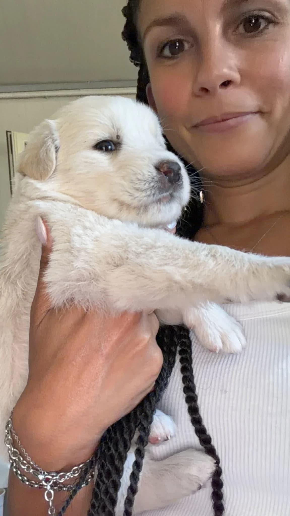 Bonaria, female puppy Mixed Breed for adoption at Zampesarde