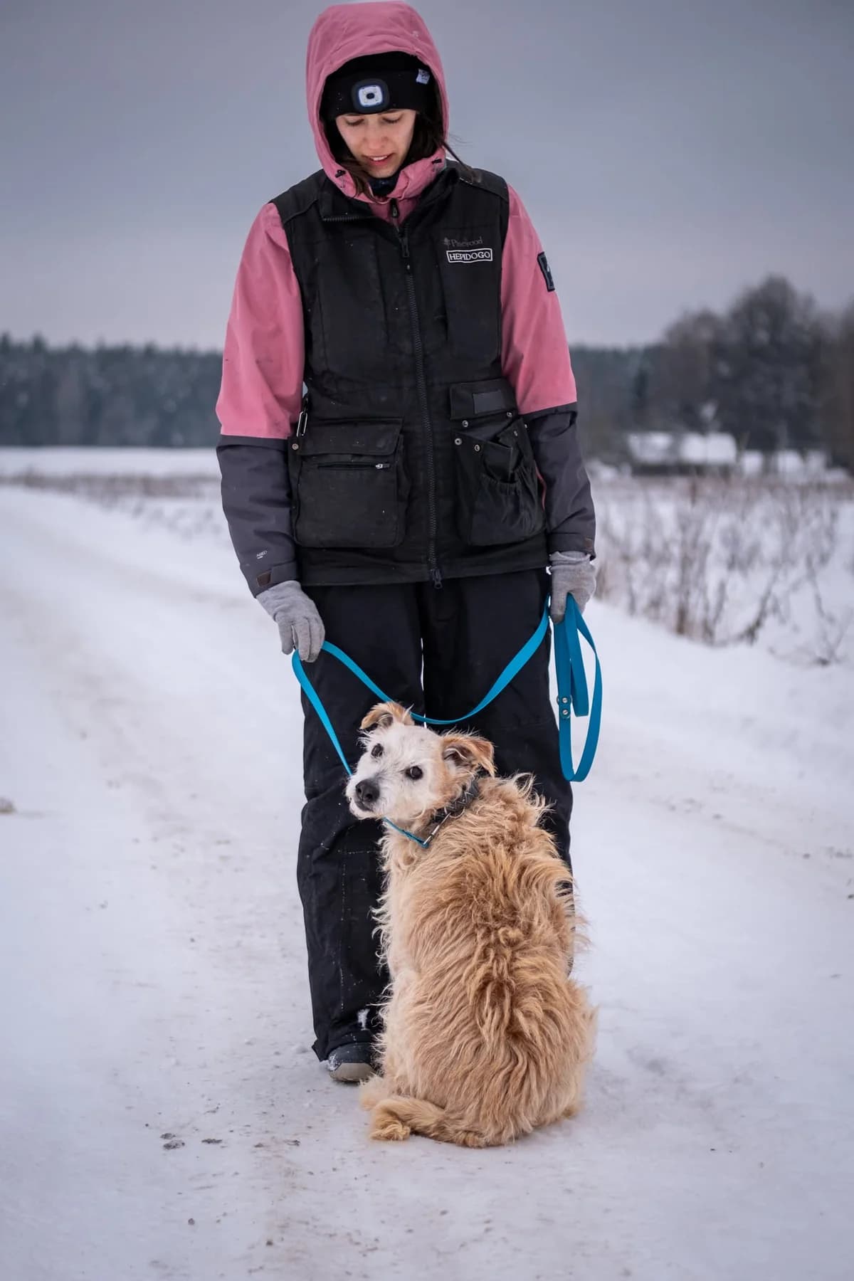 Gvazdikėlis,  Mixed Breed for adoption at SOS Gyvūnai, Šalčininkų r. sav. — photo 2 of 9