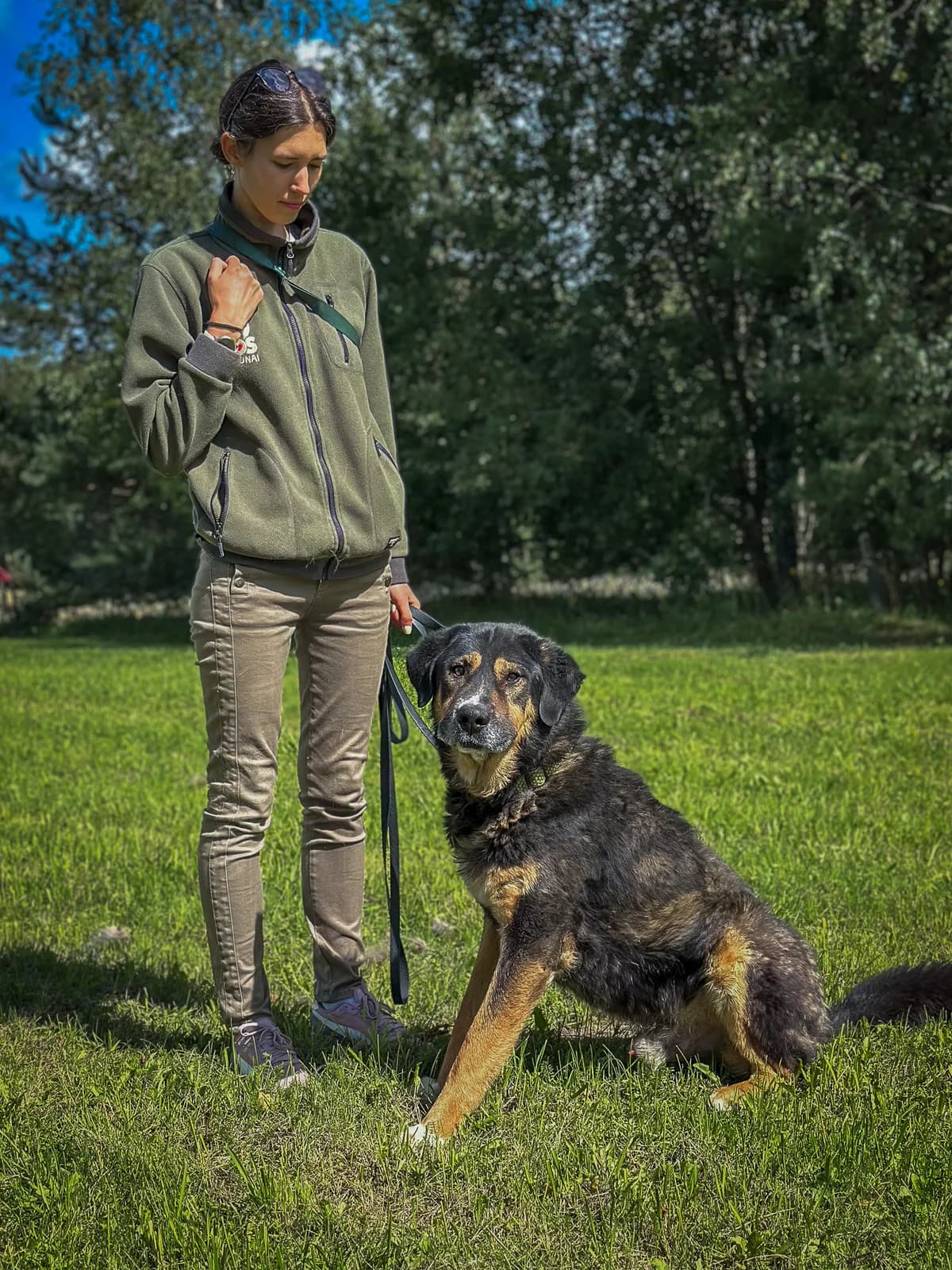 Džonis,  Mixed Breed for adoption at SOS Gyvūnai, Šalčininkų r. sav. — photo 2 of 4