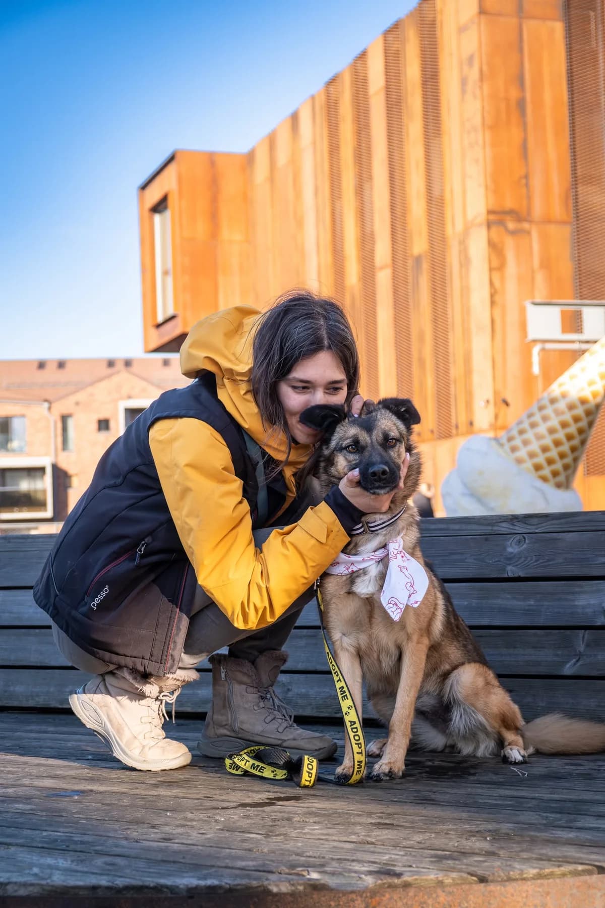 Freizė,  Mixed Breed for adoption at SOS Gyvūnai, Šalčininkų r. sav. — photo 5 of 17