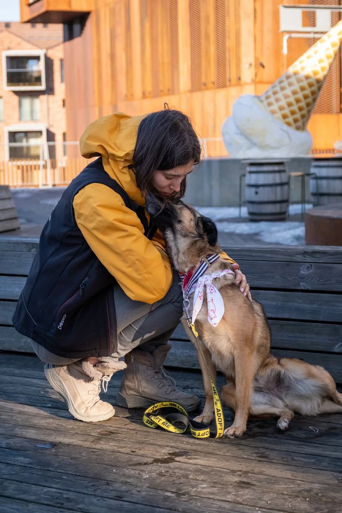 Freizė,  Mixed Breed for adoption at SOS Gyvūnai, Šalčininkų r. sav. — photo 6 of 17