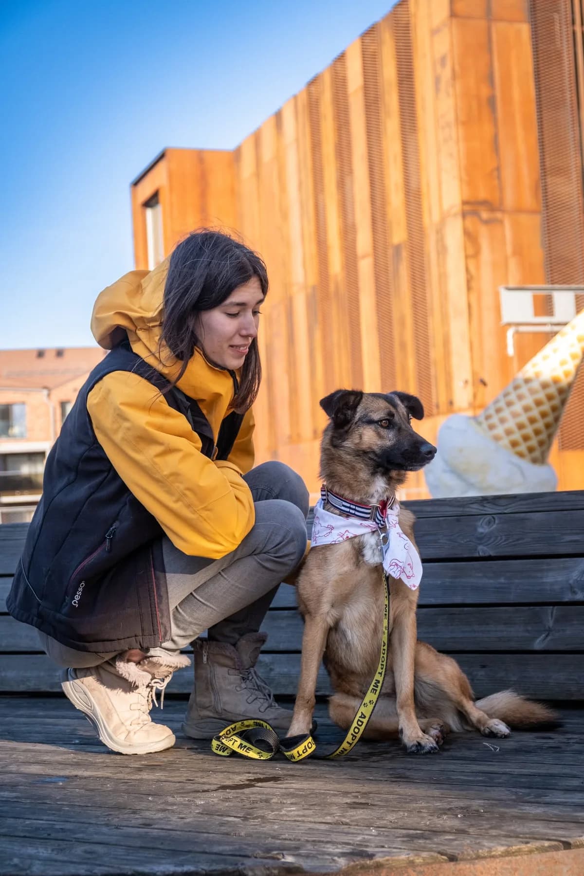 Freizė,  Mixed Breed for adoption at SOS Gyvūnai, Šalčininkų r. sav. — photo 7 of 17